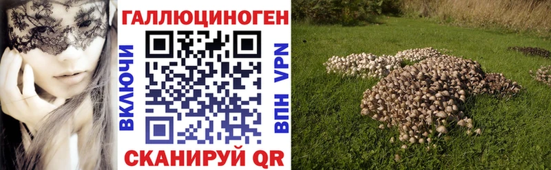 Галлюциногенные грибы Psilocybe площадка формула Барыш